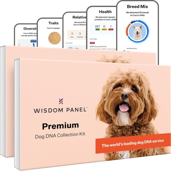 Wisdom Health Panel Premium Dog DNA Kit: Most Comprehensive with 265+ Health Tests, Identify 365+ Dog Breeds, 50+ Traits, Relatives, Ancestry, Genetic Diversity - Pack of 2
