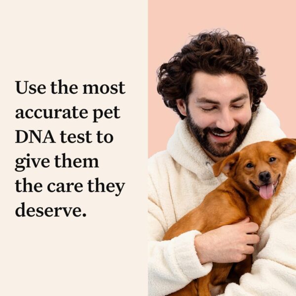 Wisdom Health Panel Premium Dog DNA Kit: Most Comprehensive with 265+ Health Tests, Identify 365+ Dog Breeds, 50+ Traits, Relatives, Ancestry, Genetic Diversity - Pack of 2 - Image 5