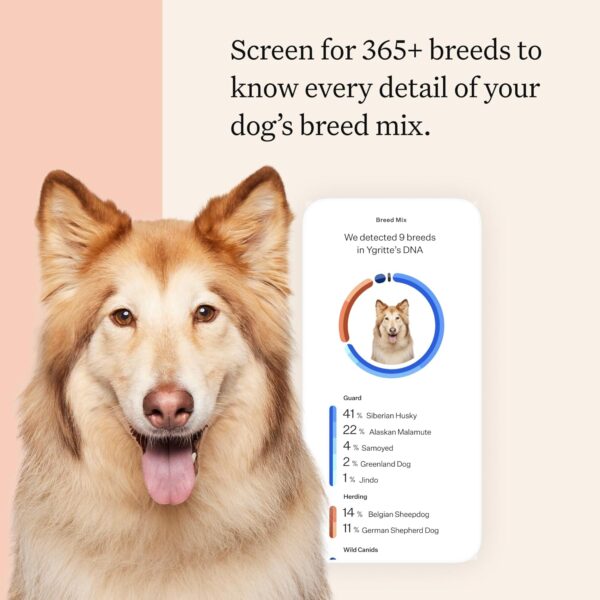 Wisdom Health Panel Premium Dog DNA Kit: Most Comprehensive with 265+ Health Tests, Identify 365+ Dog Breeds, 50+ Traits, Relatives, Ancestry, Genetic Diversity - Pack of 2 - Image 8